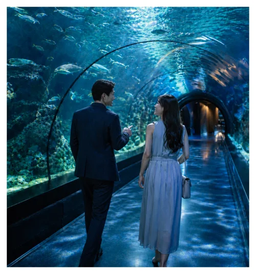 夜の水族館で語らうカップル